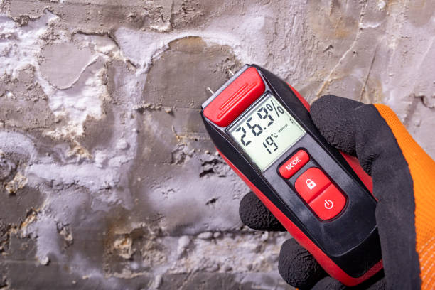 Best Mold Testing  in Myrtle Creek, OR
