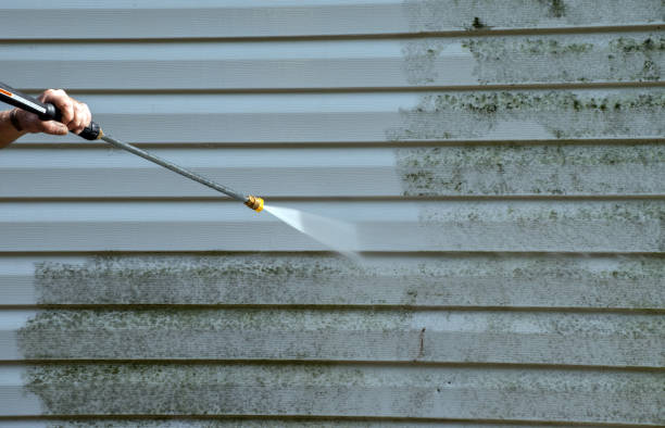 Best Residential Mold Removal  in Myrtle Creek, OR