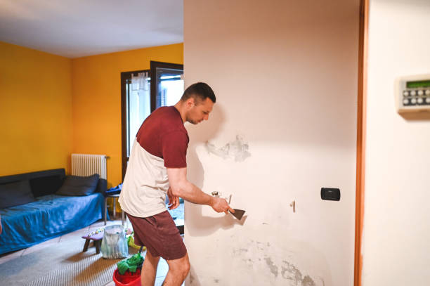 Best Black Mold Removal  in Myrtle Creek, OR